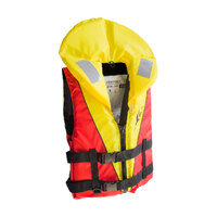 BLA PFD - CS-100