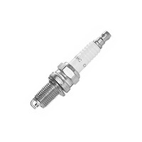 RA8HC Champion Spark Plug 810