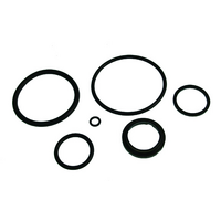Johnson/Evinrude NON-Showa Trim Tilt Repair Kit 174003