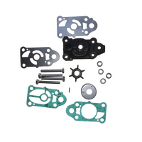 Water Pump Kit with Housing 3F0-87322-1