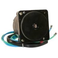 Johnson/Evinrude Trim/Tilt Motor 5005254