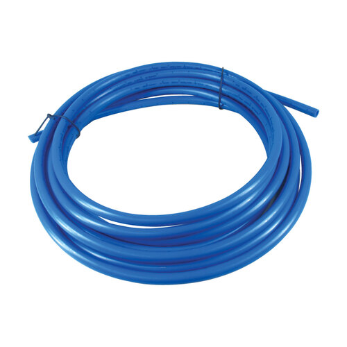 Whale Tubing 30 130100
